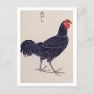 Vintage-Illustration: Shamo-Hühner Postkarte