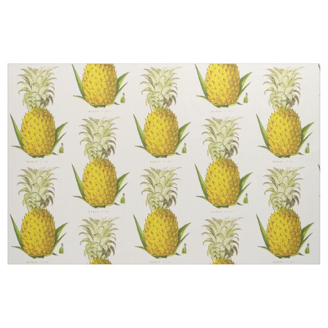 Vintage Illustration von Ananas Stoff (Fat Quarter (45,7 x 55,9 cm))