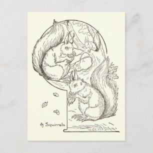Vintage-Illustration von Eichhörnchen als Postkart Postkarte