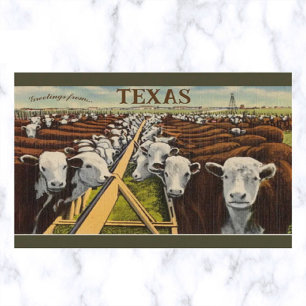Vintage-Illustration von Rindern in Midland, Texas Postkarte