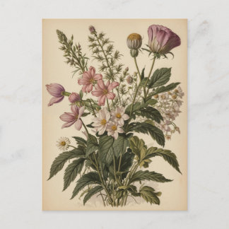 Vintage-Illustration von Wildblumen  Postkarte