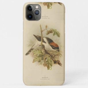 Vintage Illustration von Woodchat Shrike Case-Mate iPhone Hülle