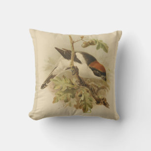Vintage Illustration von Woodchat Shrike Kissen