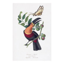 Vintage Illustrationskunst