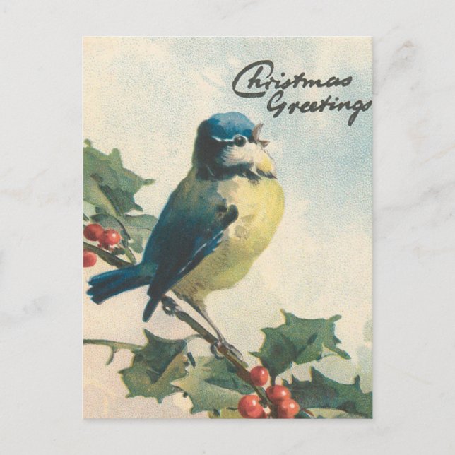 Vintage Illustrationsvogel - Weihnachtskarte Feiertagspostkarte (Vorderseite)