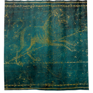 Vintage Illustrierte Green & Gold Lion Star Karte Duschvorhang