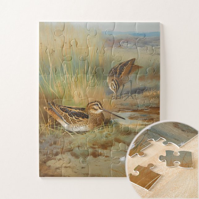 Vintage, illustrierte Schnepfvögel, Vögel Puzzle (Von Creator hochgeladen)
