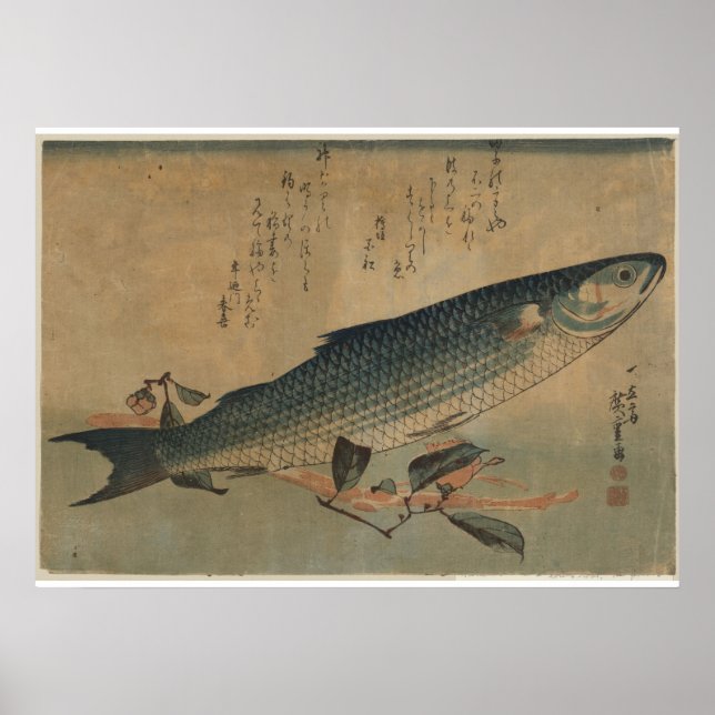 Vintage Image of Japanese Striped Mullet - Leinwan Poster (Vorne)