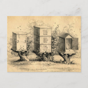Vintage Imkerei Bienenstöcke Bienenstock Postkarte