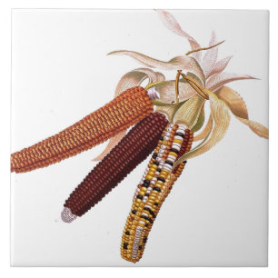 Vintage indischer Mais-Fliese Fliese