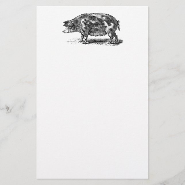 Vintage inländische Schwein-Illustration - Schwein Briefpapier (Vorderseite)