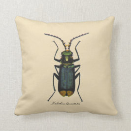 Vintage Insekten-Entomologiereversible-Baumwolle Kissen