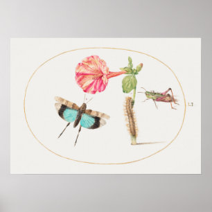 Vintage-Insekten-Illustrationsposter Poster