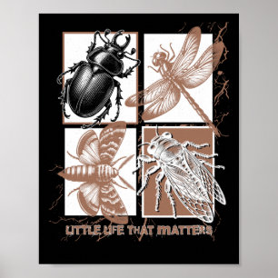 Vintage Insekten - Käfer Poster