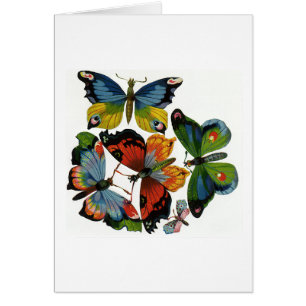 Vintage Insekten oder Bugs, schöne Schmetterlinge