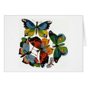 Vintage Insekten oder Bugs, schöne Schmetterlinge