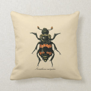 Vintage Insektensexton-Käfer-Entomologie Revers. Kissen