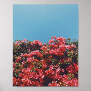 Vintage inspirierte Bougainvillea-Blüten Kaliforni Poster