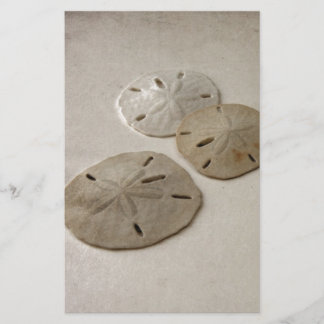 Vintage inspirierte Sand-Dollar Briefpapier