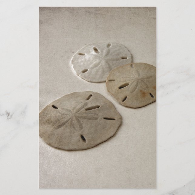 Vintage inspirierte Sand-Dollar Briefpapier (Vorderseite)