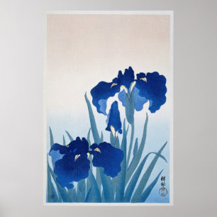 Vintage Iris-Blume Poster