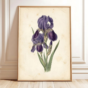 Vintage Iris Boho Leinwanddruck Poster