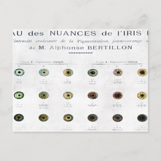 Vintage Iris-Farbkarte Postkarte (Vorderseite)