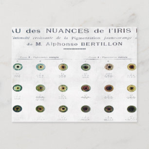 Vintage-Iris-Farbkarte-Postkarte Postkarte
