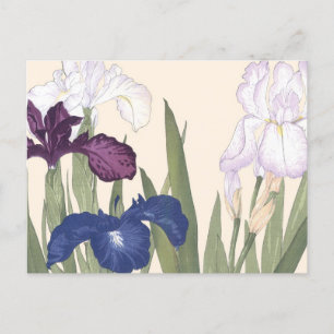Vintage japanische Blumenkunst lila Schwertlilienb Postkarte