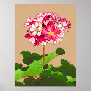 Vintage japanische Hydrangea. Rosa und Grün Poster