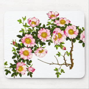 Vintage japanische Kirschblüten, Rosa und Gold Mousepad