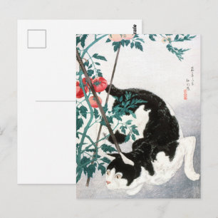 Vintage japanische Kunst Schwarz-Weiß-Katze Tomate Postkarte