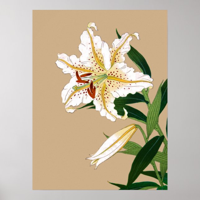 Vintage japanische Liliy. Weiß, Grün und Beige Poster (Vorne)