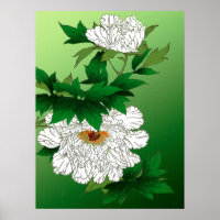 Vintage japanische Skizze für große weiße Peony
