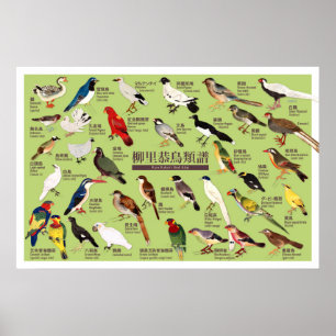 Vintage Japanische Vogelatlas-Illustration Poster