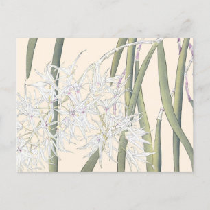 Vintage japanische weiße Spinnen-Orchideen-Kunst Postkarte