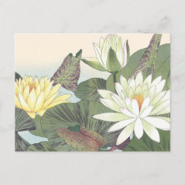 Vintage Japanische Woodblock White Lotus Blume Postkarte