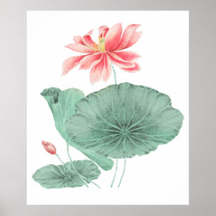 Vintage japanischer Lotos-Kunstprint Poster