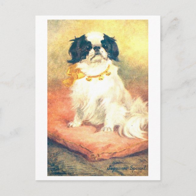 Vintage Japanischer Spaniel Postkarte (Vorderseite)