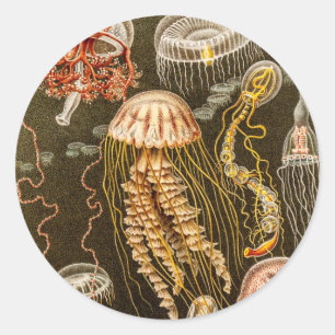 Vintage Jellyfish-Vorlage für Jelly-Fische Runder Aufkleber