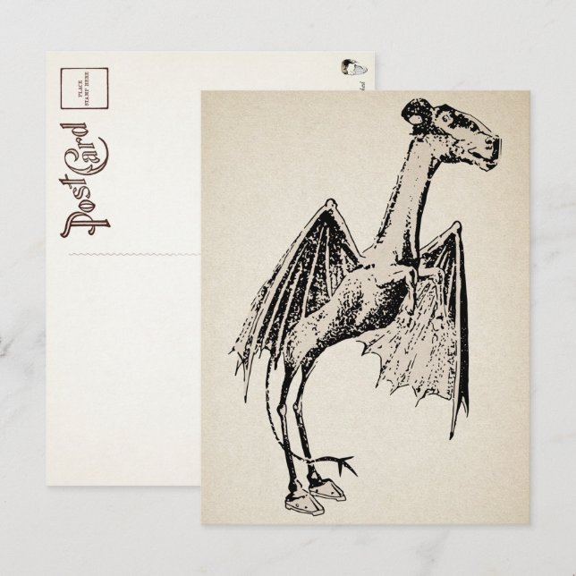 Vintage Jersey Devil Postkarte  (Vorne/Hinten)