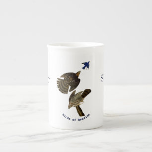 Vintage John Audubon Stanley Hawk Prozellantasse