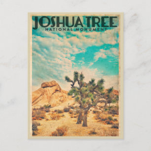 Vintage Joshua Tree Travel Postcard Postkarte