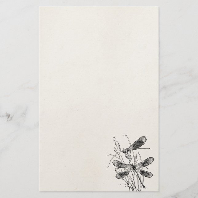 Vintage Jungfrau-Libellen-personalisierte Briefpapier (Vorderseite)