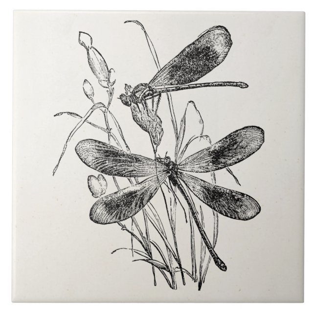 Vintage Jungfrau-Libellen-personalisierte Fliese (Vorderseite)