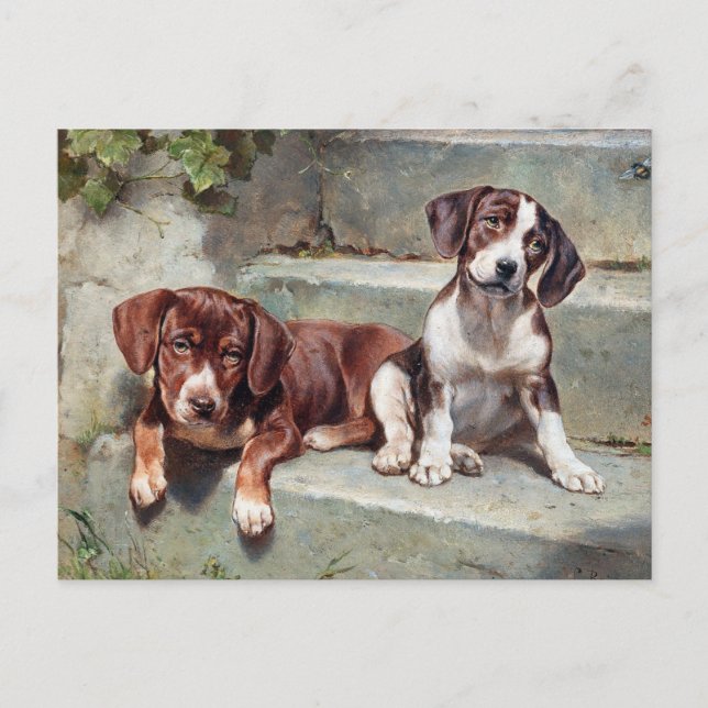 Vintage Jungtiere Postkarte (Vorderseite)