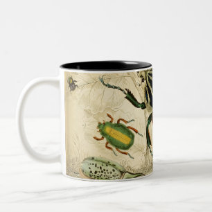 Vintage Käfer-Illustration Zweifarbige Tasse
