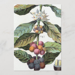 Vintage-Kaffeebohnen-Kunstwerk Einladung