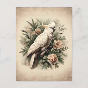 Vintage-Kakadu-Botanik-Gemälde Postkarte