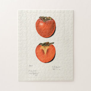 Vintage-Kakis-Frucht-Aquarellmalerei Puzzle